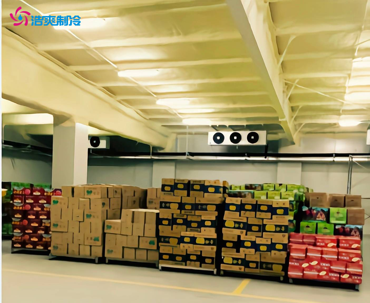 大型5000平方農產品保鮮冷庫的建造價格 大型5000平方農產品保鮮冷庫的建造價格