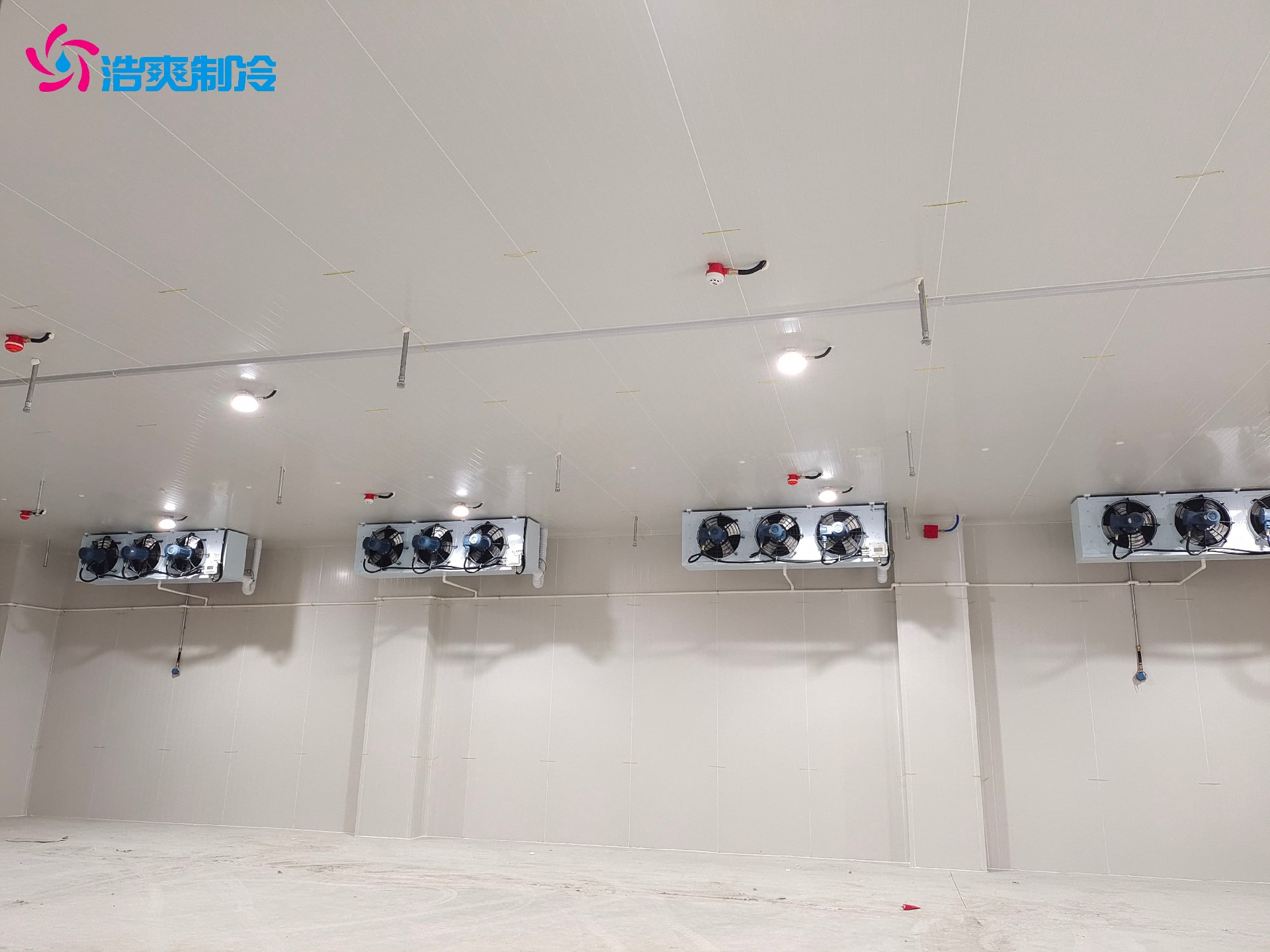 建造一個30噸的防爆冷庫造價影響因素及安裝設(shè)計的具體要求 建造一個30噸的防爆冷庫造價影響因素及安裝設(shè)計的具體要求