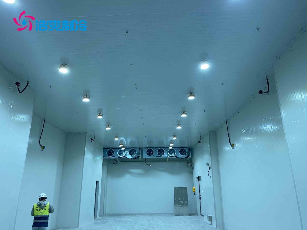 醫藥冷庫建設標準及建造方案是什么 醫藥冷庫建設標準及建造方案是什么