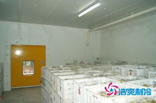 圖示:浩爽制冷為蜜之源果業(yè)建造的柑橘氣調(diào)冷庫