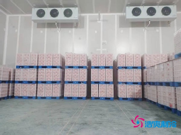 氣調保鮮庫完工內景