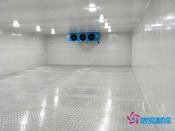 建造100平米-60℃存儲金槍魚的超低溫冷庫造價多少錢?