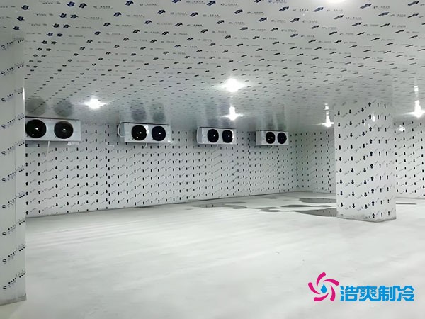 在市區(qū)建設(shè)一個100平方米的冷庫需要多少費用?