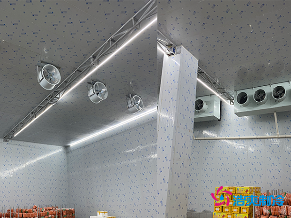 2000平冷庫造價揭秘：這些因素讓你多花幾十萬！