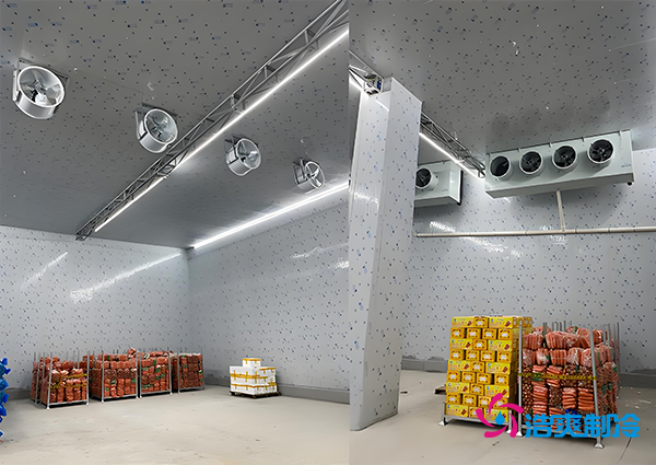 1000噸果蔬保鮮庫造價揭秘，節省成本就靠這幾點！