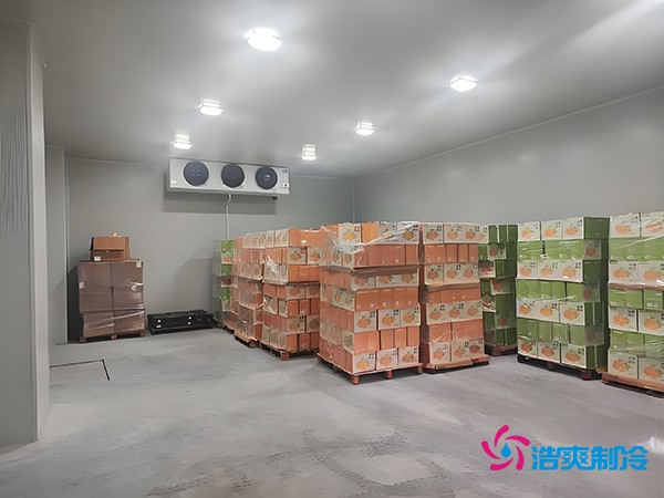 1000噸果蔬保鮮庫造價揭秘，節省成本就靠這幾點！