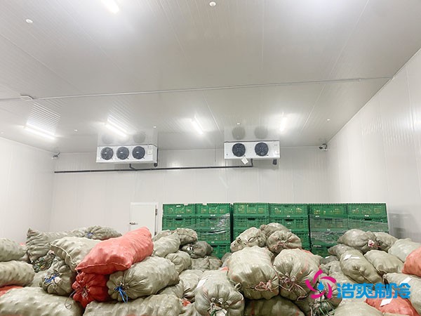 500平果蔬冷庫造價曝光！35萬起建，省錢秘訣在這里！