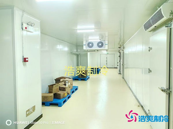 建造一個小型紅酒冷庫的大致造價費用多少錢?