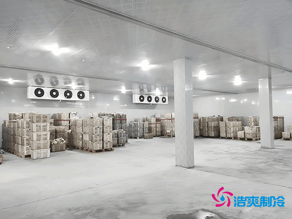 零下35℃制冰!建一個冷庫到底要花多少錢?