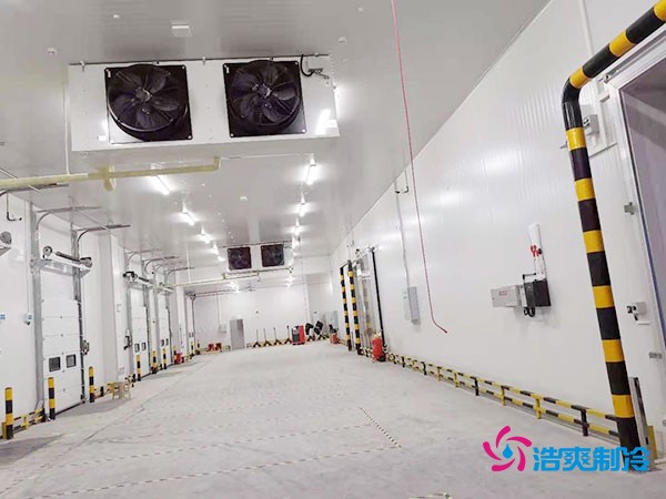 冷庫造價懸殊?揭秘每平米價格背后的秘密!