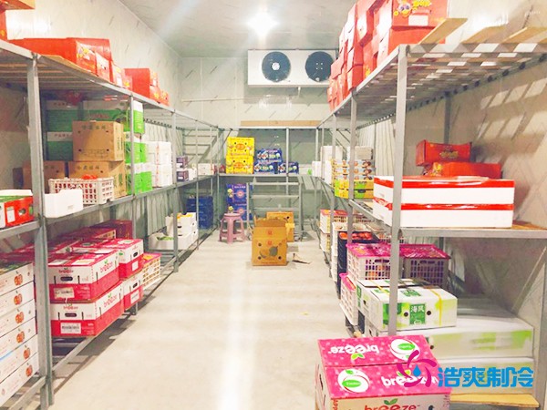 5噸水果需要多大冷庫？答案出乎意料！