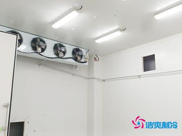 上海小型冷庫(kù)造價(jià)揭秘!2萬(wàn)起真的靠譜嗎?