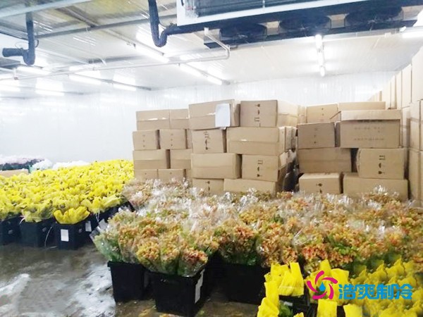 建造500㎡花卉鮮花冷庫工程造價(jià)預(yù)算解析