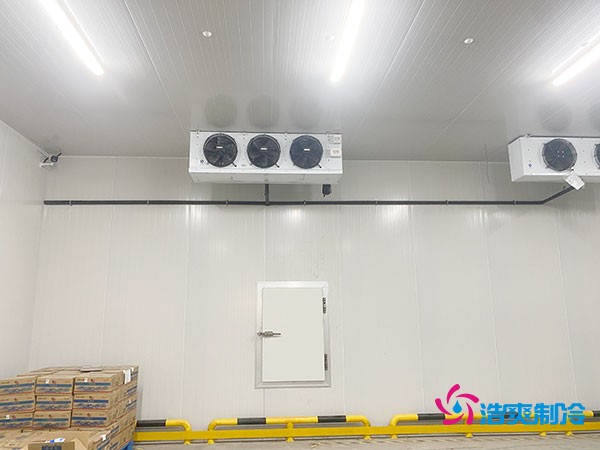 100平方米洋蔥冷藏庫造價