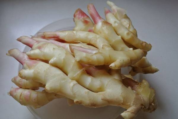 3000噸鮮姜冷庫前期規劃，冷庫造價預算多少