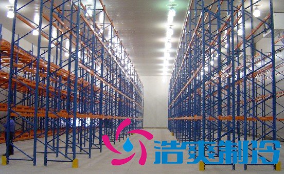 地下室建造5000平米冷庫出租，冷庫總成本是多少