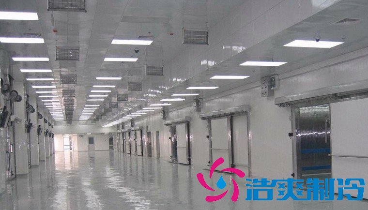 食品廠建20000平米生鮮食品物流冷庫，冷庫設計安裝造價