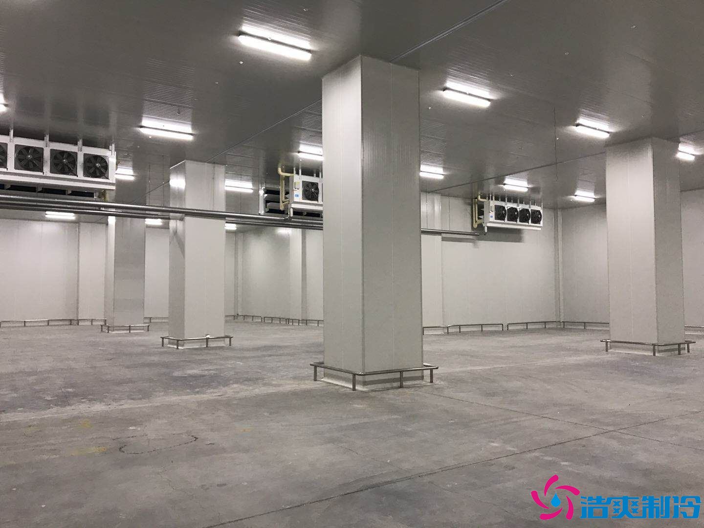 2000平米生鮮食品物流冷庫(生鮮冷鏈倉儲)冷庫報價