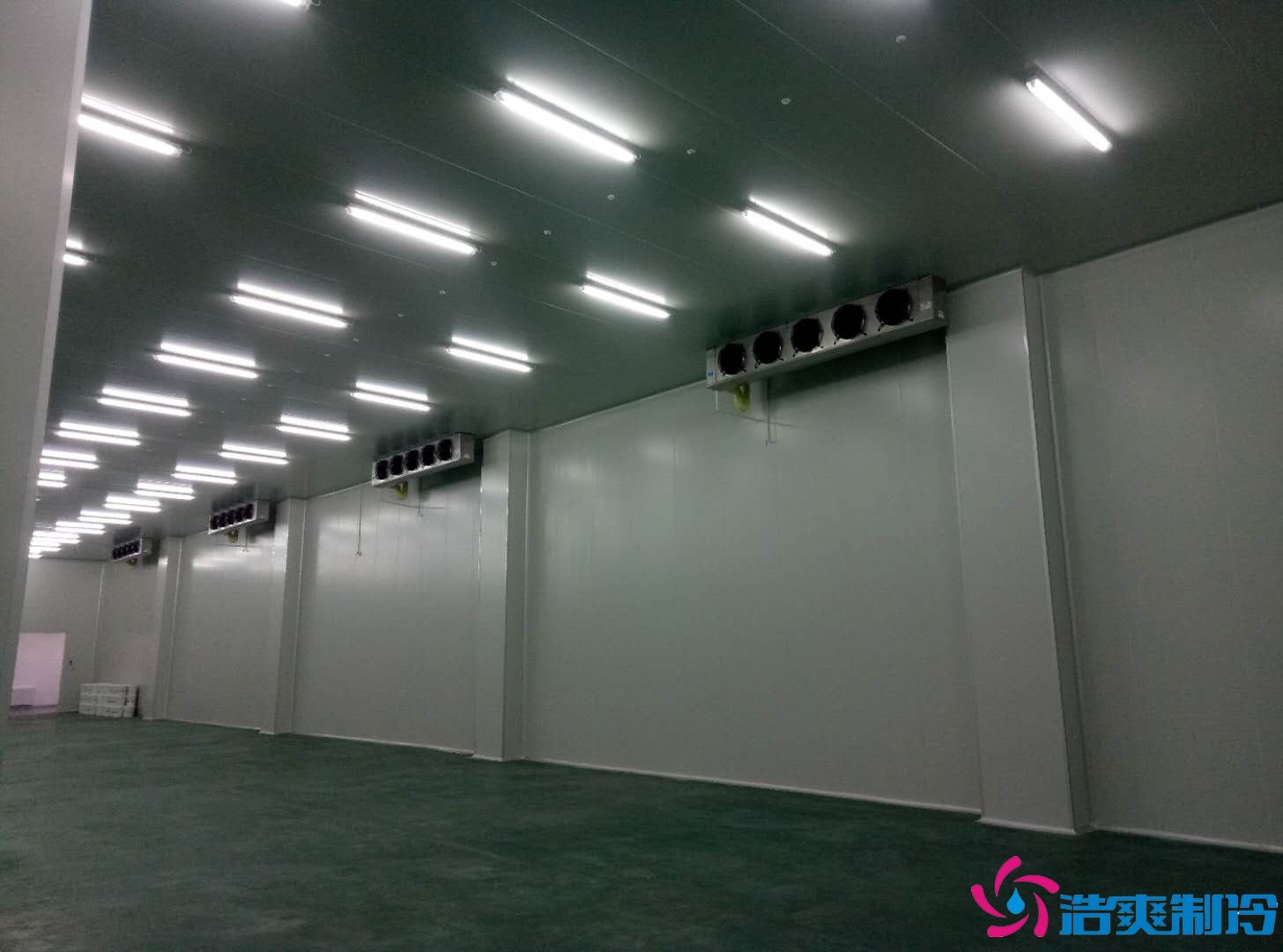 深圳金瑞凱利生物建造100㎡高標(biāo)準(zhǔn)醫(yī)藥冷庫(冷凍冷藏庫)工程案例