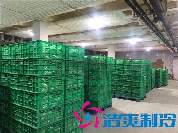 上海速凍包子/水餃冷庫(-30℃)