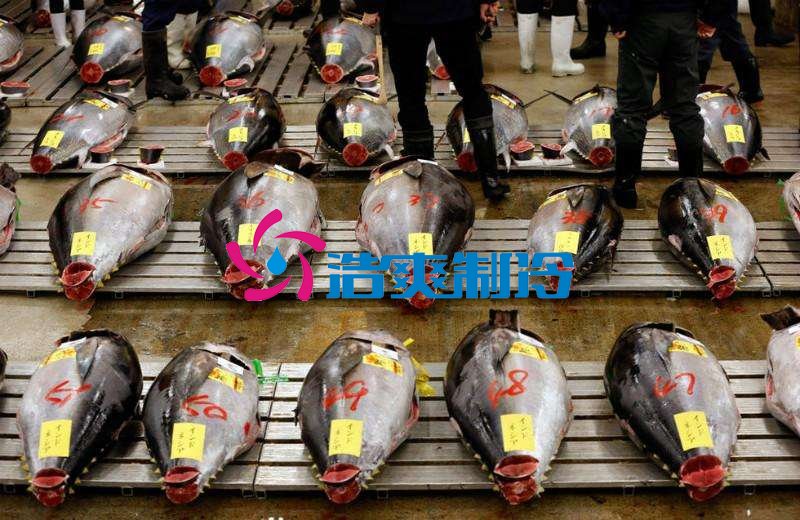 浩爽制冷，金槍魚冷庫，超低溫冷凍庫