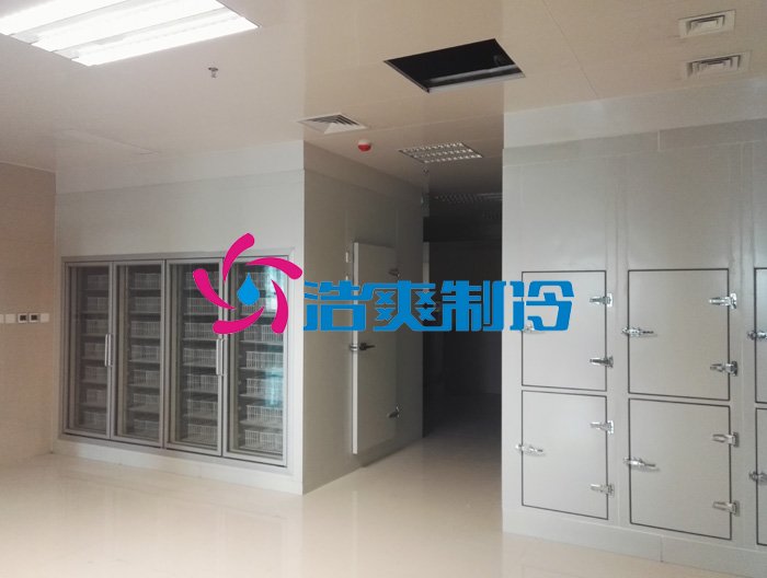 浩爽制冷，疫苗冷庫，gsp醫藥冷庫