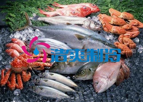 浩爽制冷，海鮮冷凍庫、食品冷凍庫